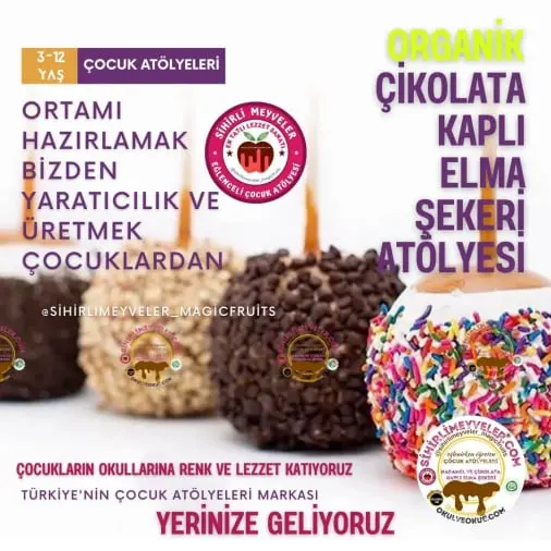 Dört Mevsim Gelişim Anaokulu - Beylikdüzü